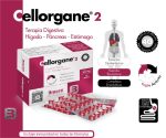 CELLORGANE 2 DIGESTIVO - Image 3