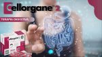 CELLORGANE 2 DIGESTIVO - Image 2